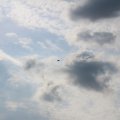 k-IMG_3908