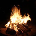 k-IMG_2433