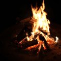 k-IMG_2528