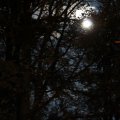 k-IMG_2529
