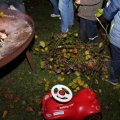 k-IMG_2533