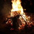 k-IMG_2535