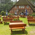 k-IMG_4284