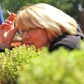 k-IMG_4741
